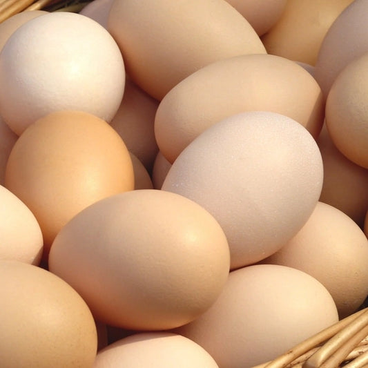 Oeufs frais x6