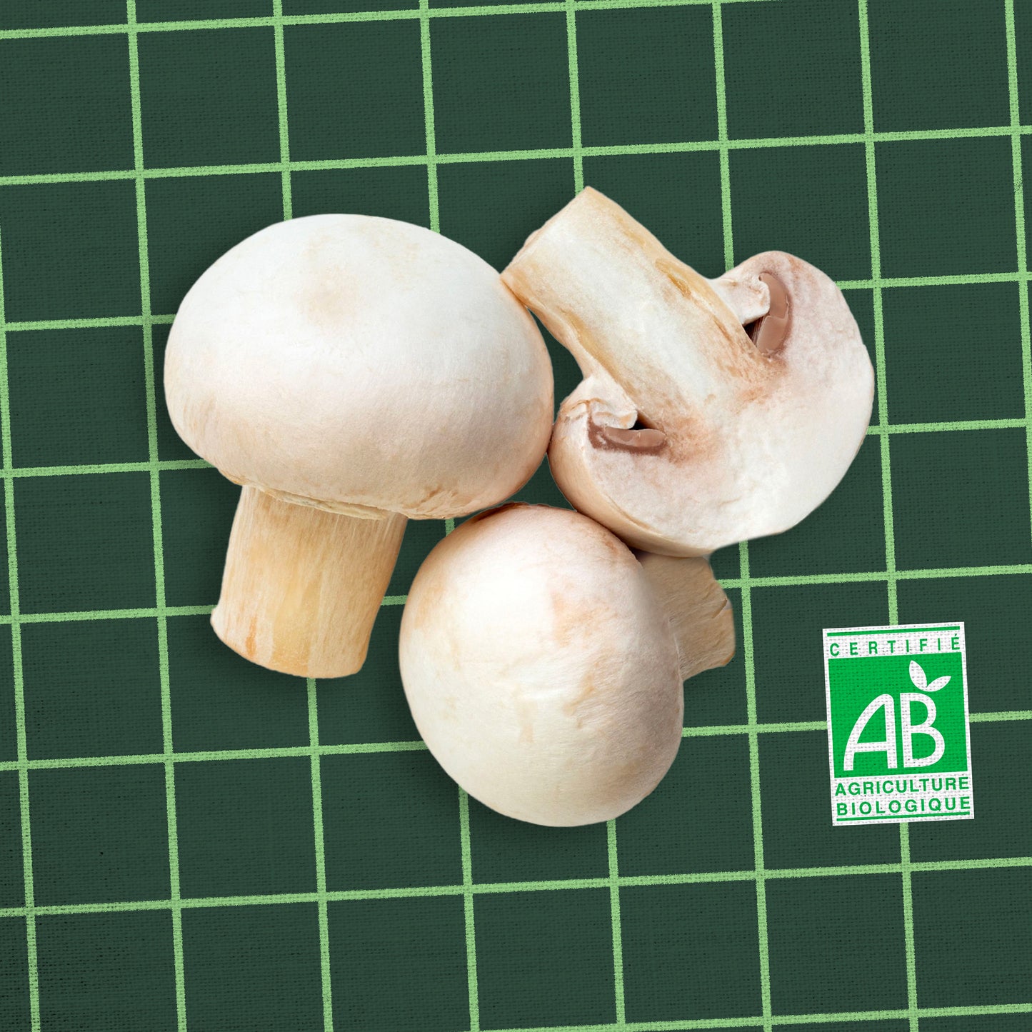 Champignon de Paris: Blanc