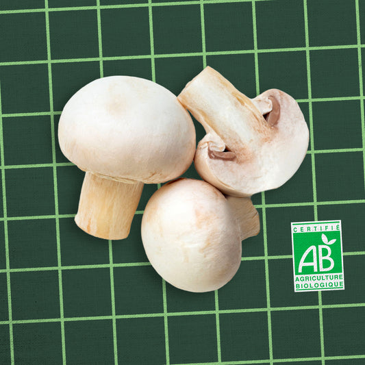 Champignon de Paris: Blanc