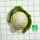 Chou-Blanc