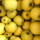 Pomme Golden