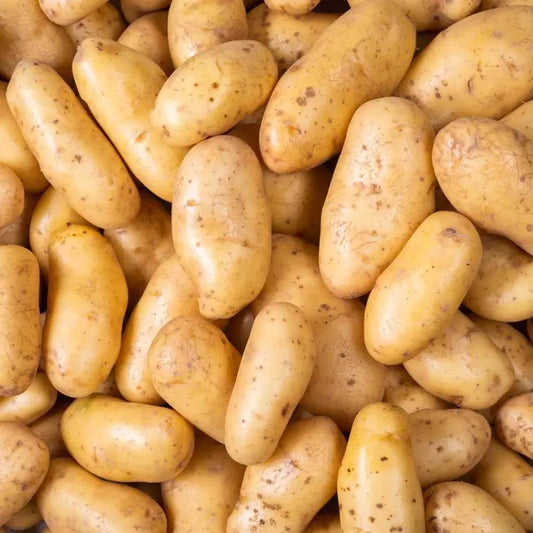 Pomme de terre chair ferme "Anabelle"