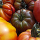 Tomates anciennes