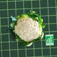 Chou-Fleur