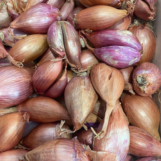 Echalotte Filet 250g