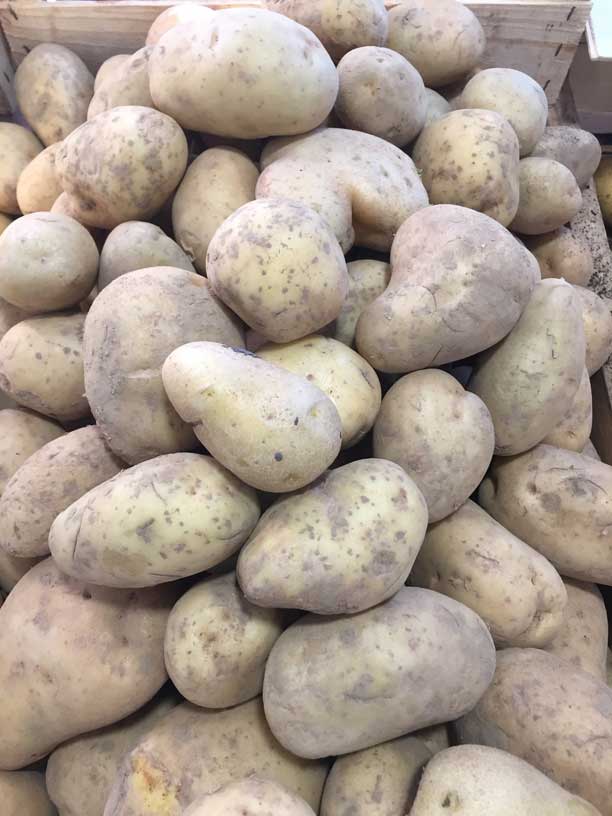 Pomme de terre "Mona Lisa"